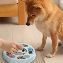 Interactive Puzzle Feeder Toy