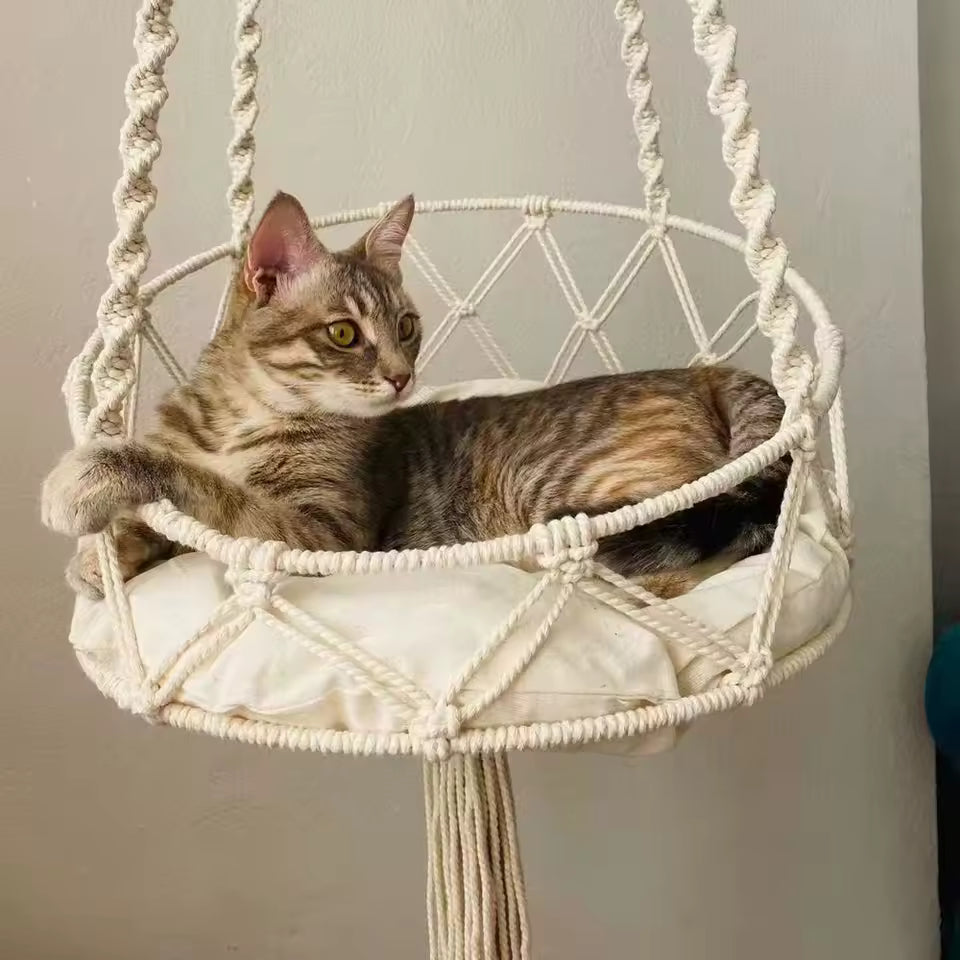 Cat Window Hammock Perch