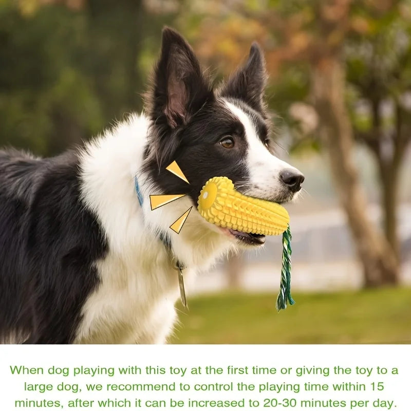 Dog Dental Chew Toy