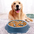Slow Feeder Anti-Bloat Dog Bowl